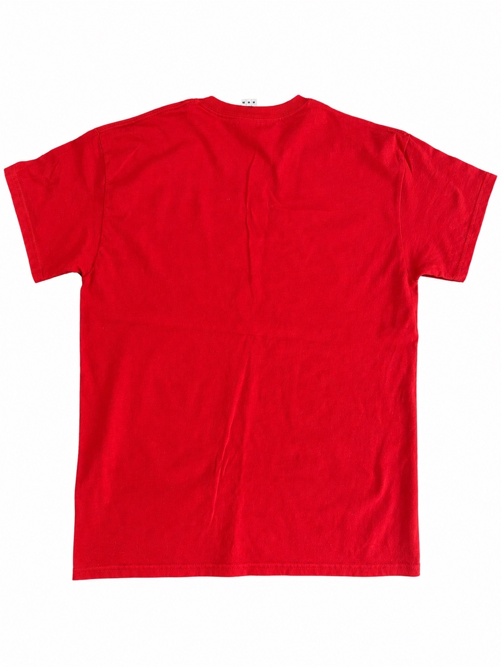 Rage Against the Machine Red Graphic Band Tee | Gildan | Medium - Picture 4 of 8